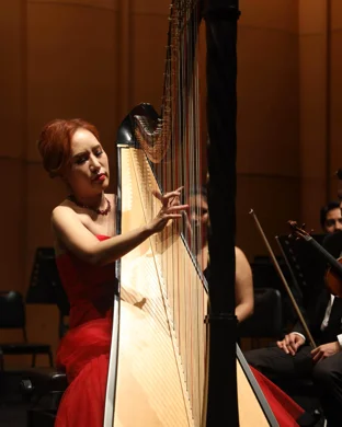 Wichita Symphony Orchestra: Voyage to Vienna