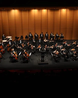 Sonic Live In Concert