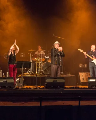 Live concert by Johnny Woods