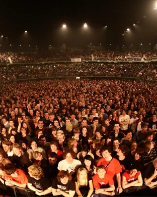 Amerifloyd - Pink Floyd Tribute