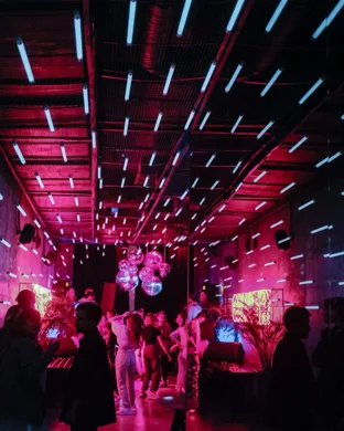 Live concert by Project Mayhem