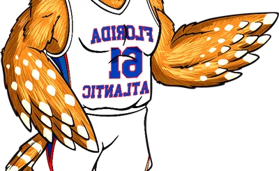 Florida Atlantic Owls