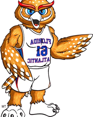 Florida Atlantic Owls vs. Wichita State Shockers sports event
