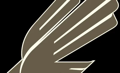 North Texas Mean Green