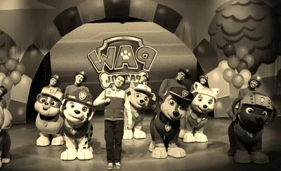 Paw Patrol Live