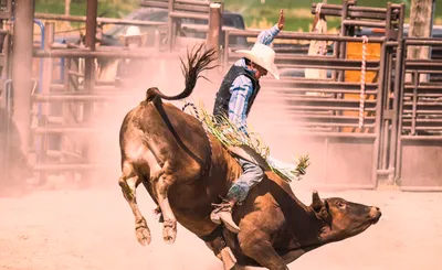 PRCA Rodeo