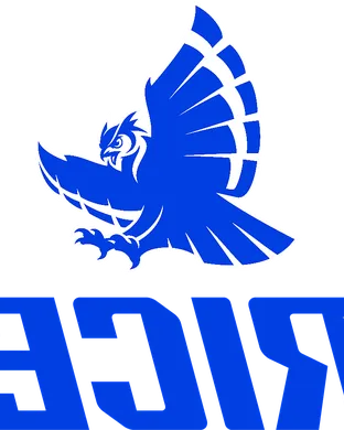 Rice Owls