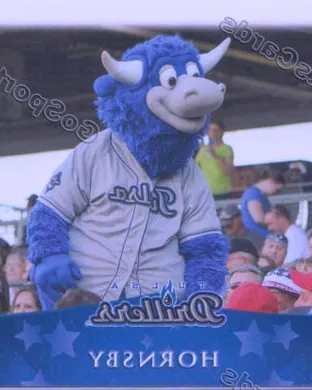 Tulsa Drillers
