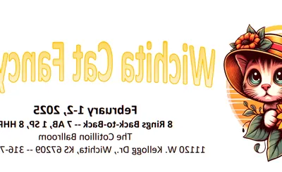 Wichita Cat Fancy Cat Show