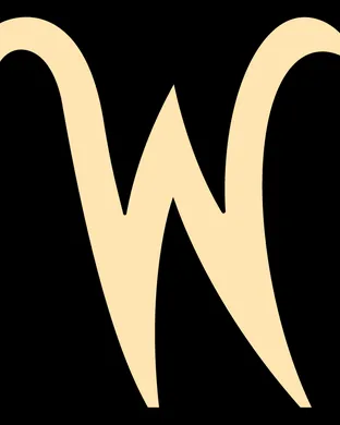 Wichita State Shockers vs. Florida Atlantic Owls 