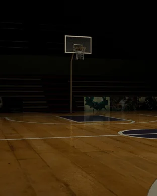 Memphis Tigers Basketball