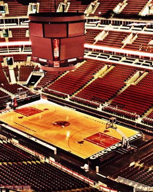 South Florida Bulls Women's Basketball