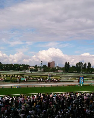 World of Outlaws Tallgrass Tussle